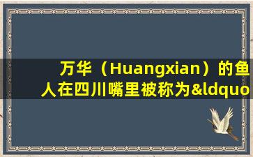 万华（Huangxian）的鱼人在四川嘴里被称为“ gayu”！